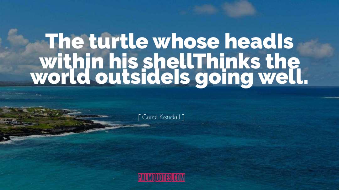 Turtle quotes by Carol Kendall