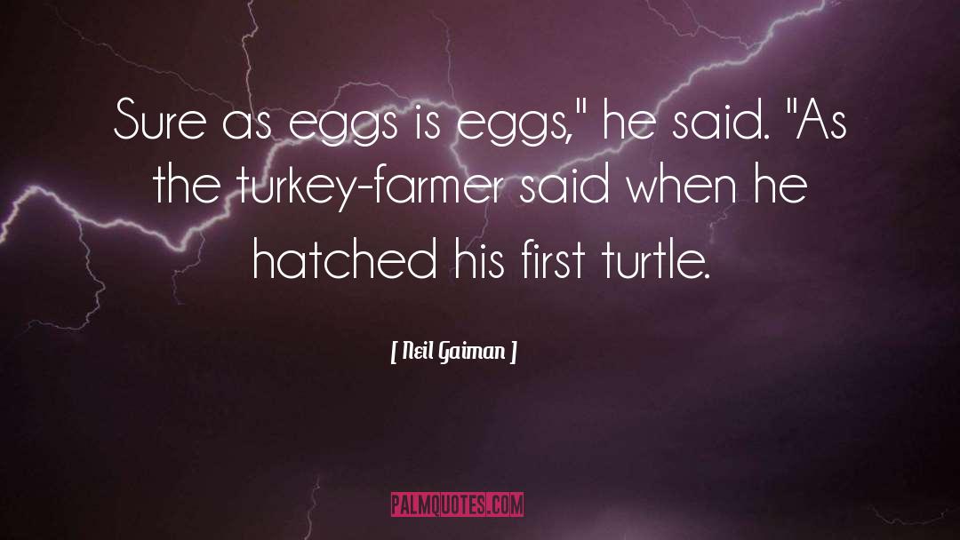 Turtle quotes by Neil Gaiman