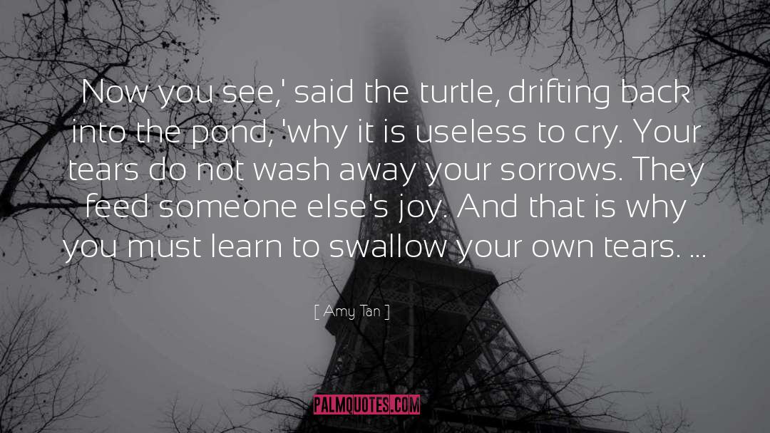 Turtle quotes by Amy Tan