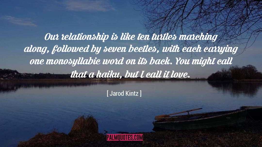 Turtles quotes by Jarod Kintz