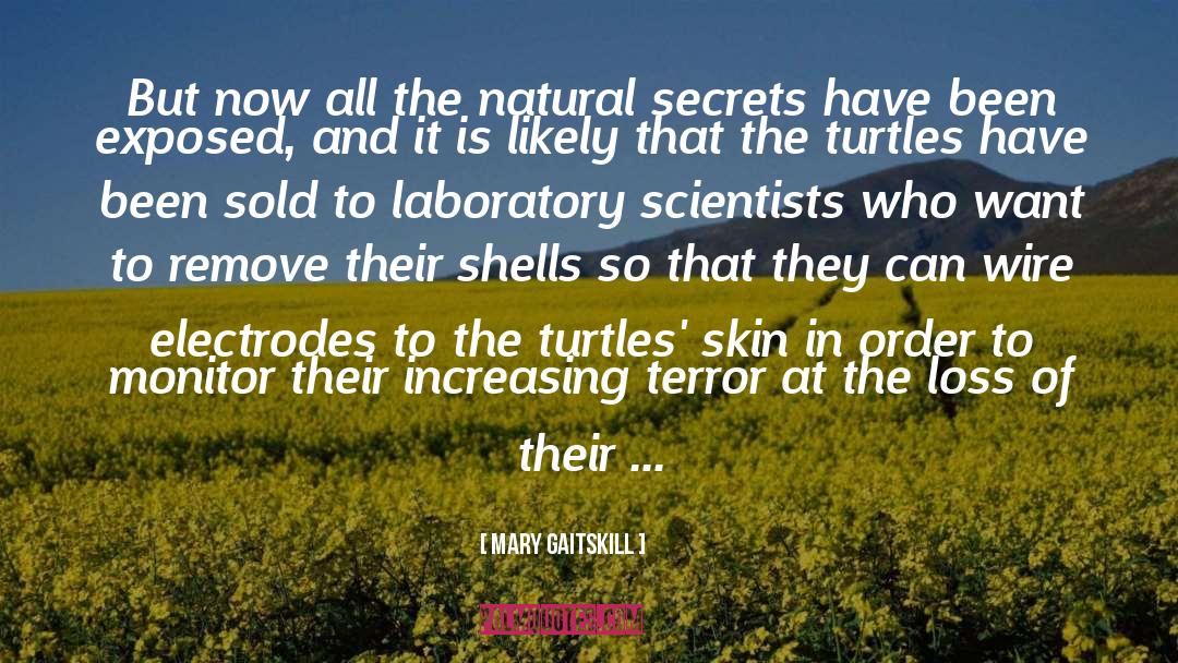 Turtles quotes by Mary Gaitskill