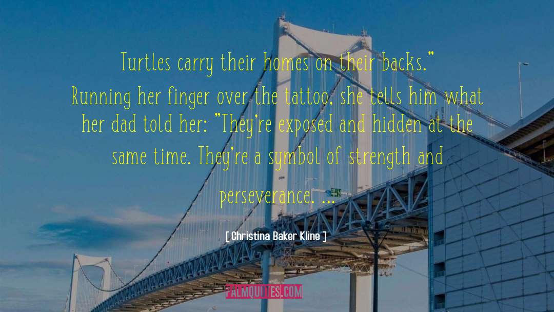 Turtles quotes by Christina Baker Kline