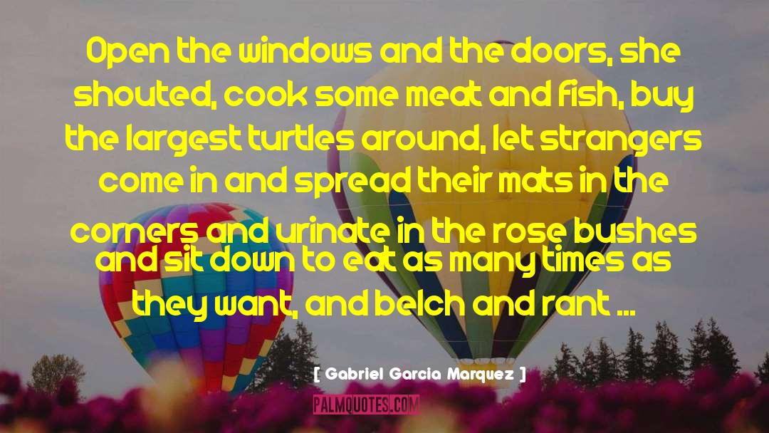 Turtles quotes by Gabriel Garcia Marquez