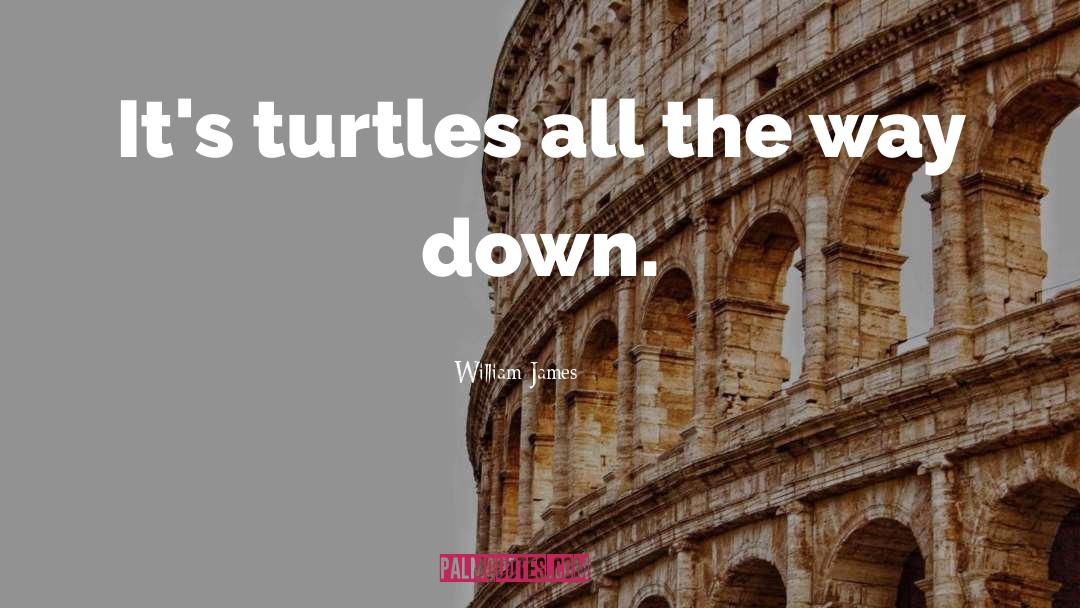 Turtles quotes by William James