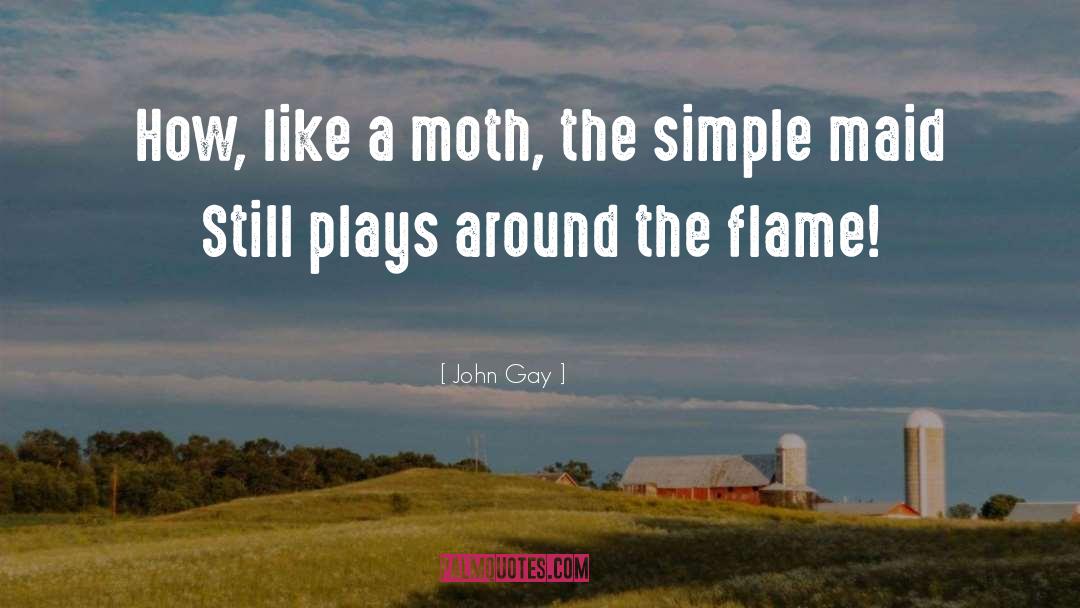 Tussock Moth quotes by John Gay