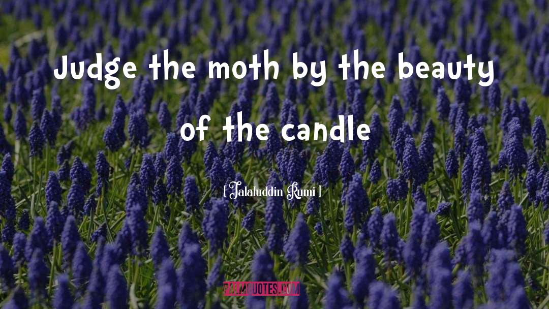 Tussock Moth quotes by Jalaluddin Rumi