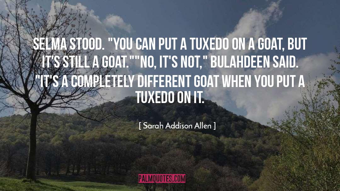Tuxedo quotes by Sarah Addison Allen