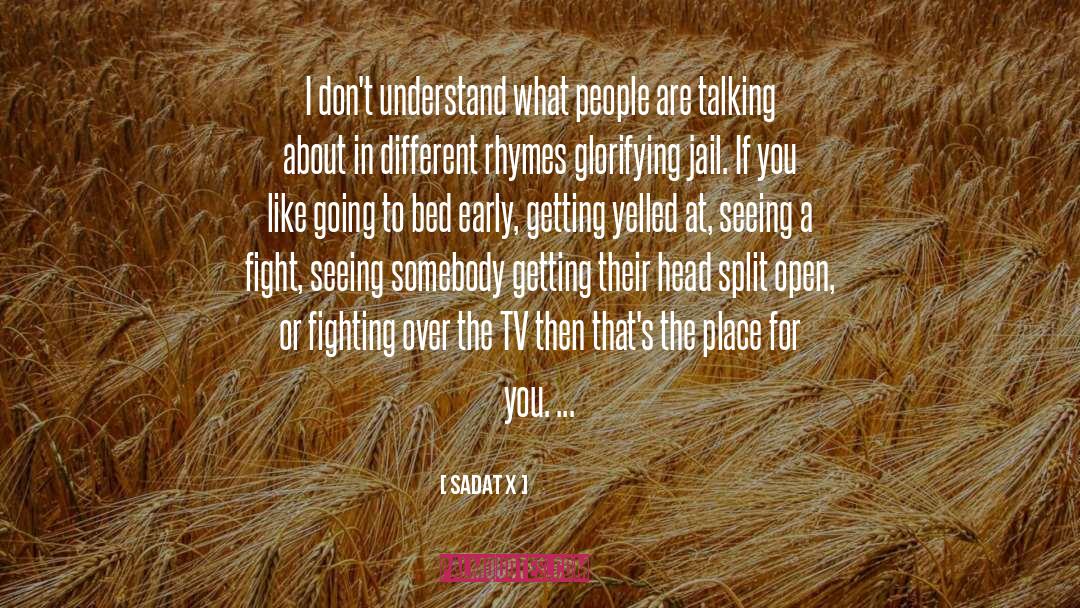 Tv quotes by Sadat X