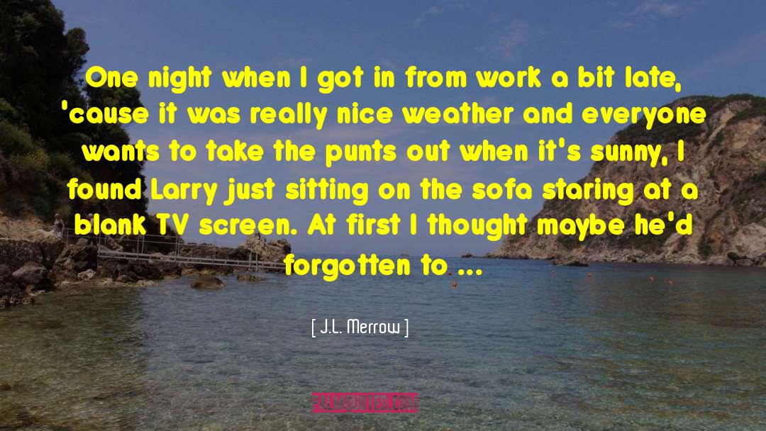Tv Screen quotes by J.L. Merrow