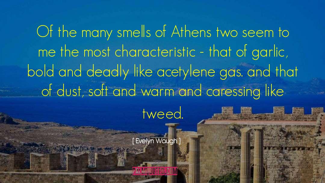 Tweed quotes by Evelyn Waugh