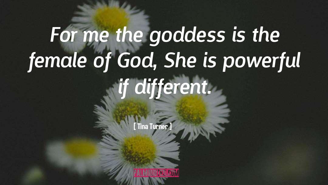 Tweeting Goddess quotes by Tina Turner