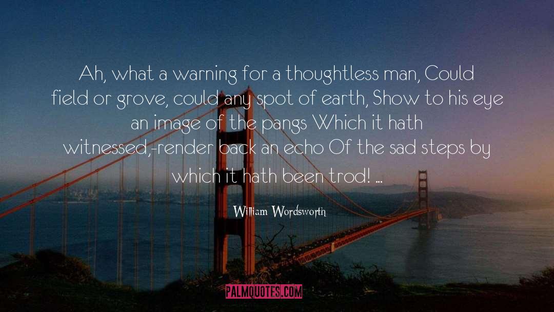 Twelve Steps quotes by William Wordsworth