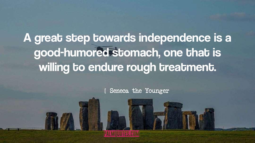 Twelve Steps quotes by Seneca The Younger