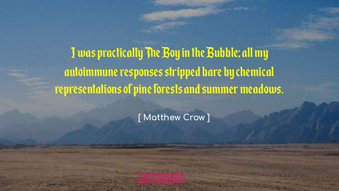 Twenty Boy Summer quotes by Matthew Crow