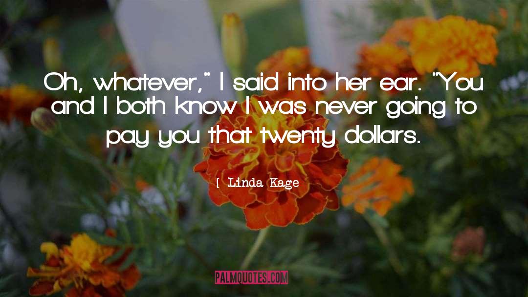 Twenty Dollars quotes by Linda Kage