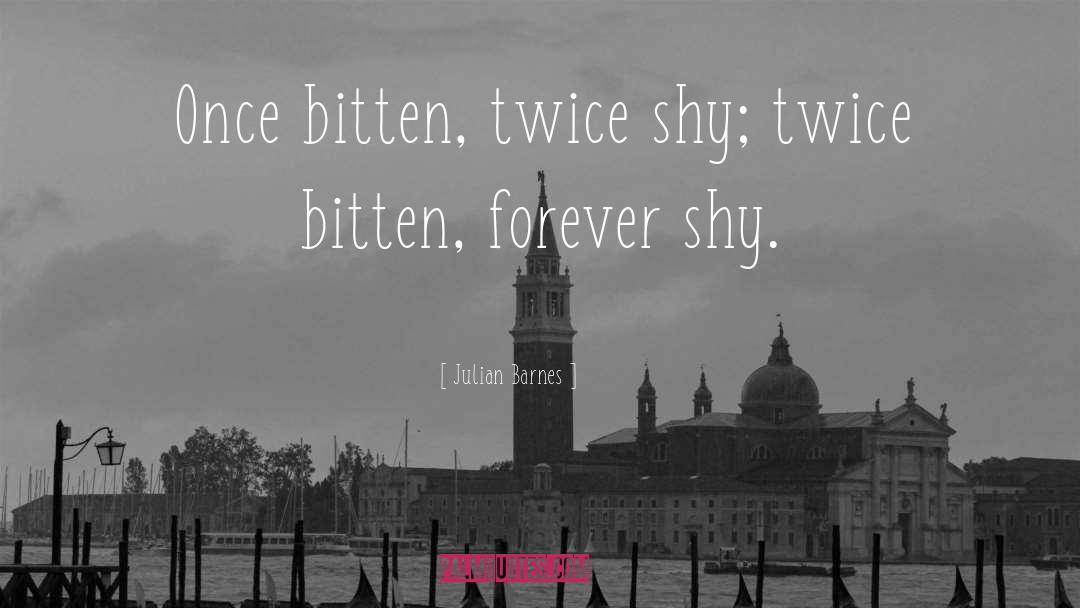 Twice quotes by Julian Barnes