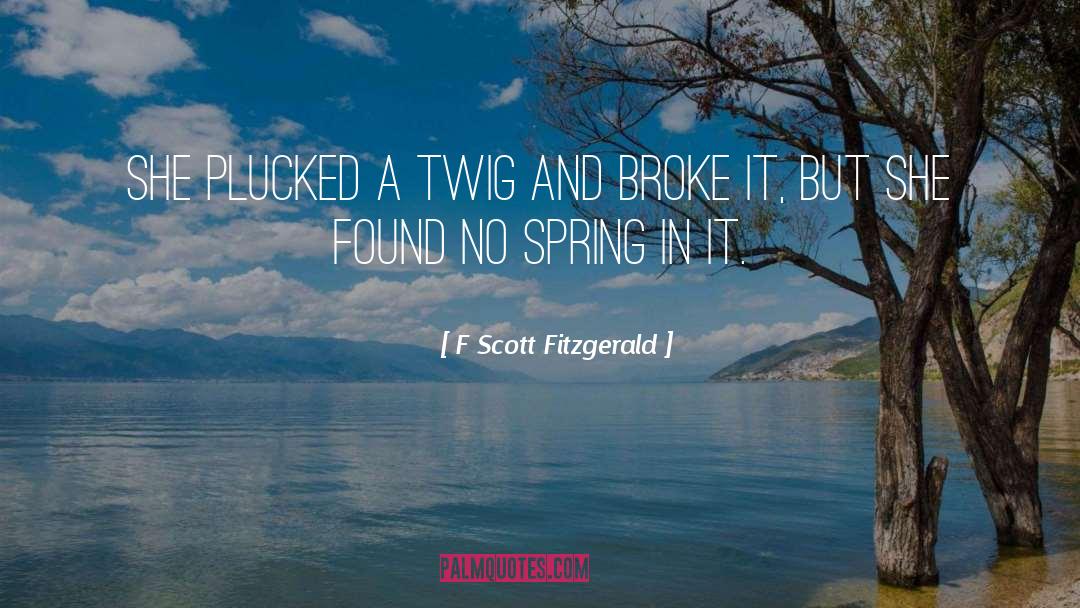 Twig quotes by F Scott Fitzgerald