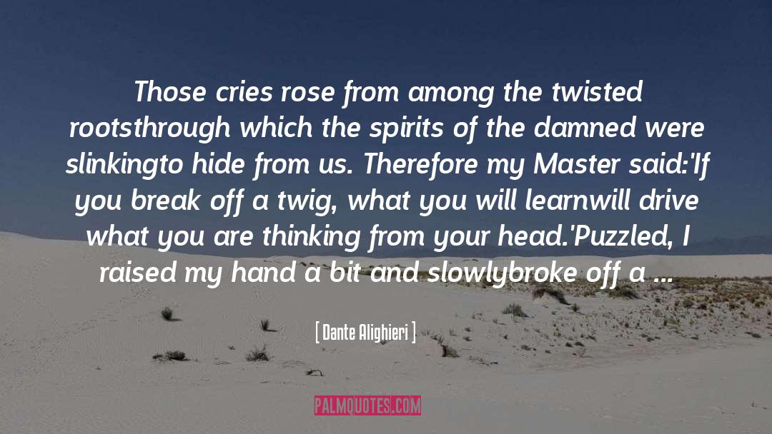 Twig quotes by Dante Alighieri