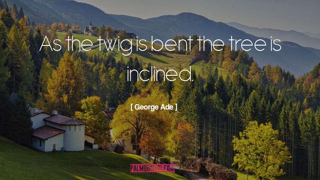 Twig quotes by George Ade