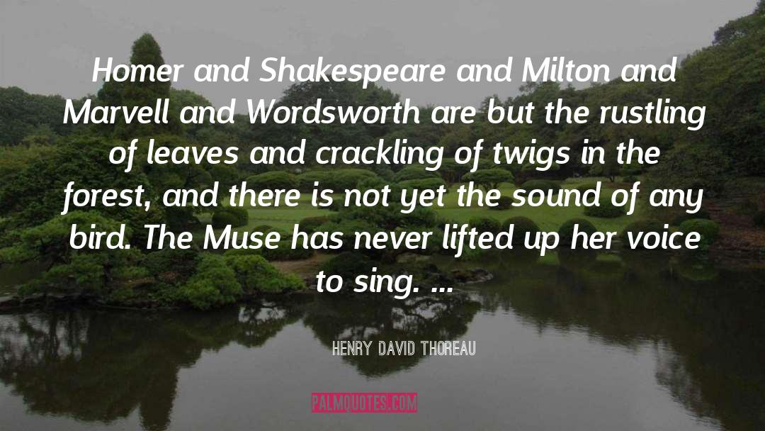 Twigs quotes by Henry David Thoreau