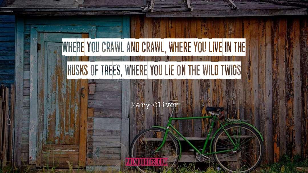 Twigs quotes by Mary Oliver