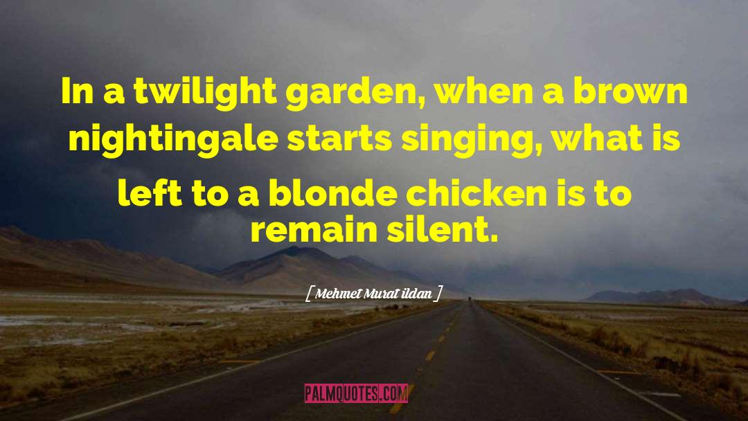 Twilight Pun quotes by Mehmet Murat Ildan