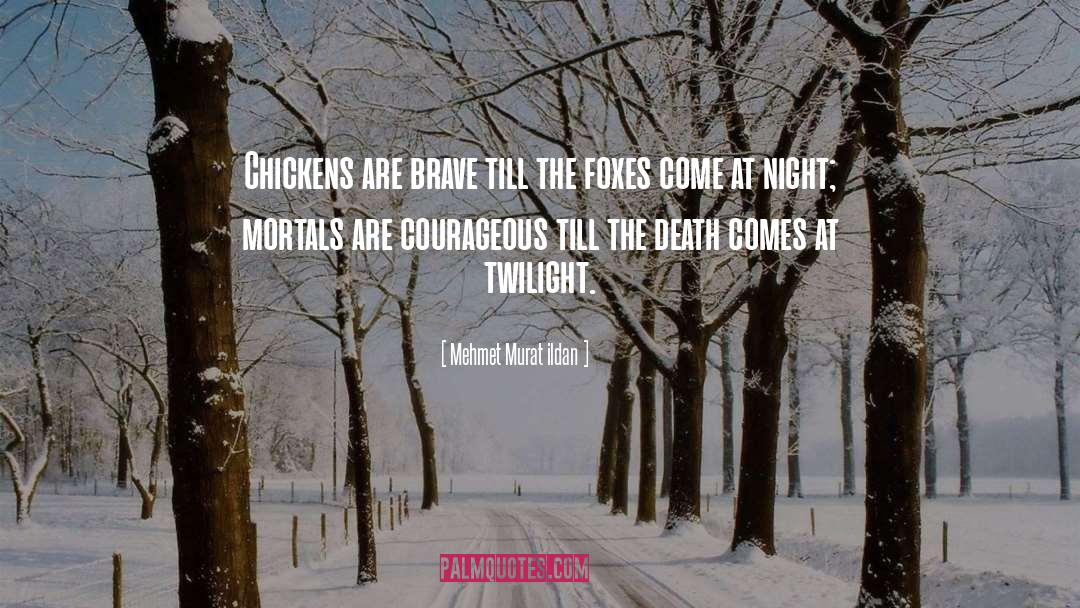 Twilight Saga quotes by Mehmet Murat Ildan