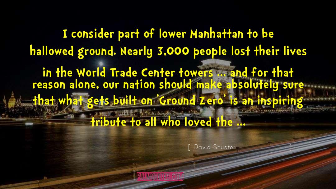 Twin Towers Angel Investor quotes by David Shuster
