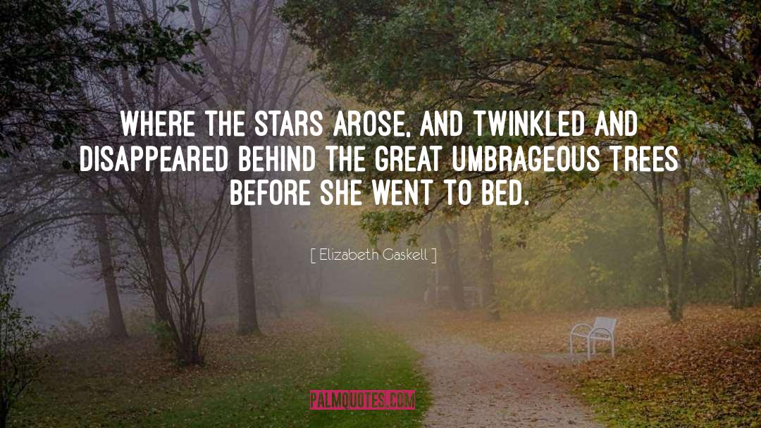 Twinkled quotes by Elizabeth Gaskell
