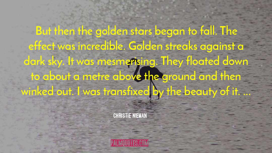 Twinkling Stars quotes by Christie Nieman
