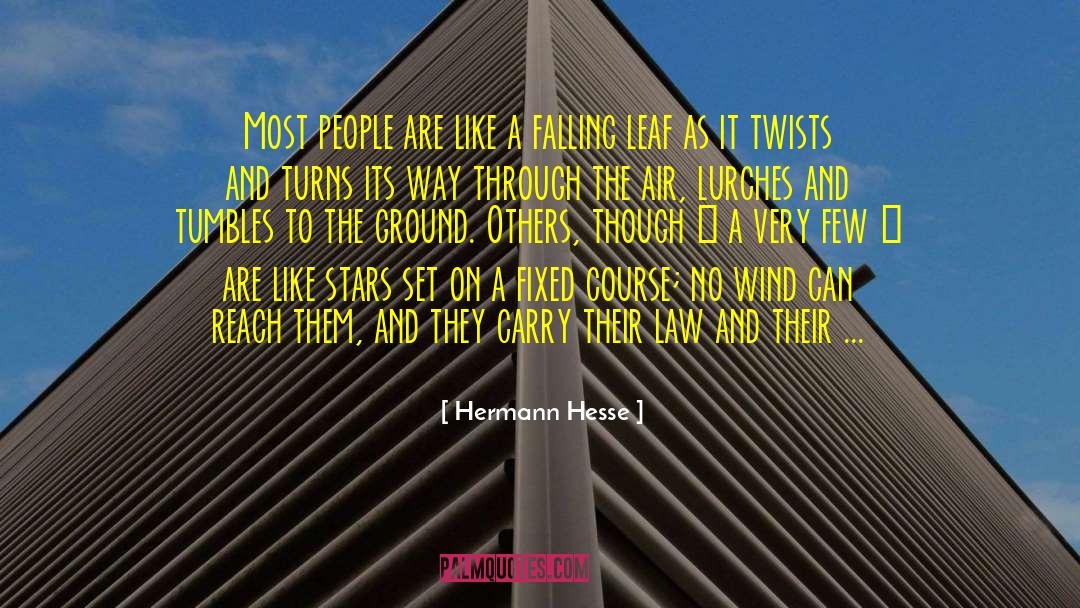 Twists quotes by Hermann Hesse