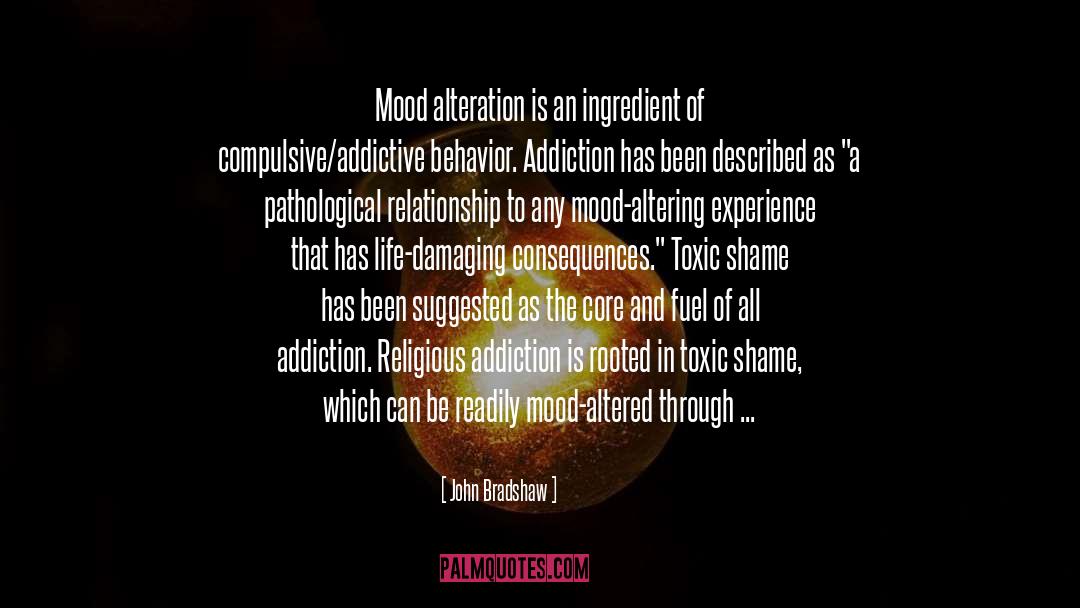 Twitter Addiction quotes by John Bradshaw