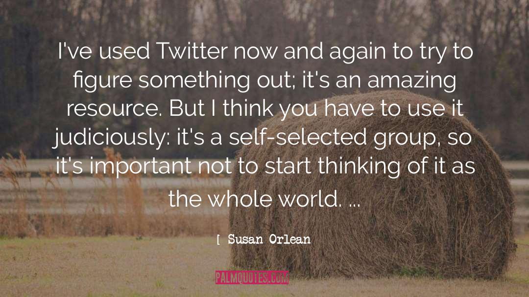 Twitter Oneliners quotes by Susan Orlean