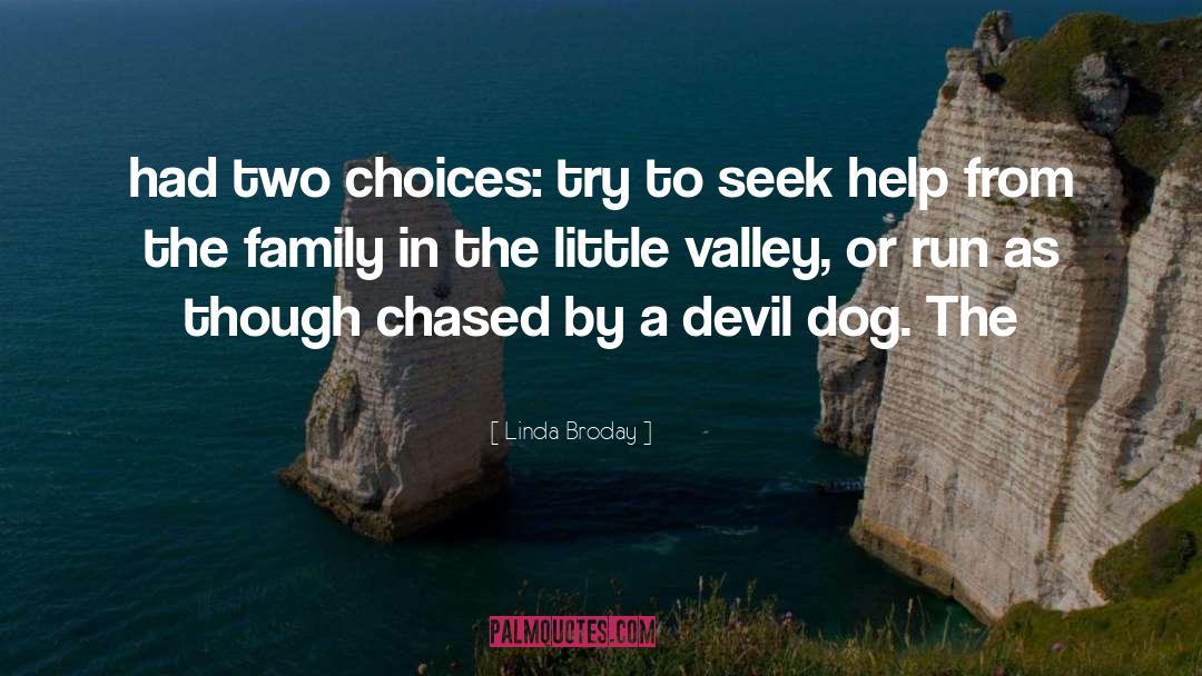 Two Choices quotes by Linda Broday