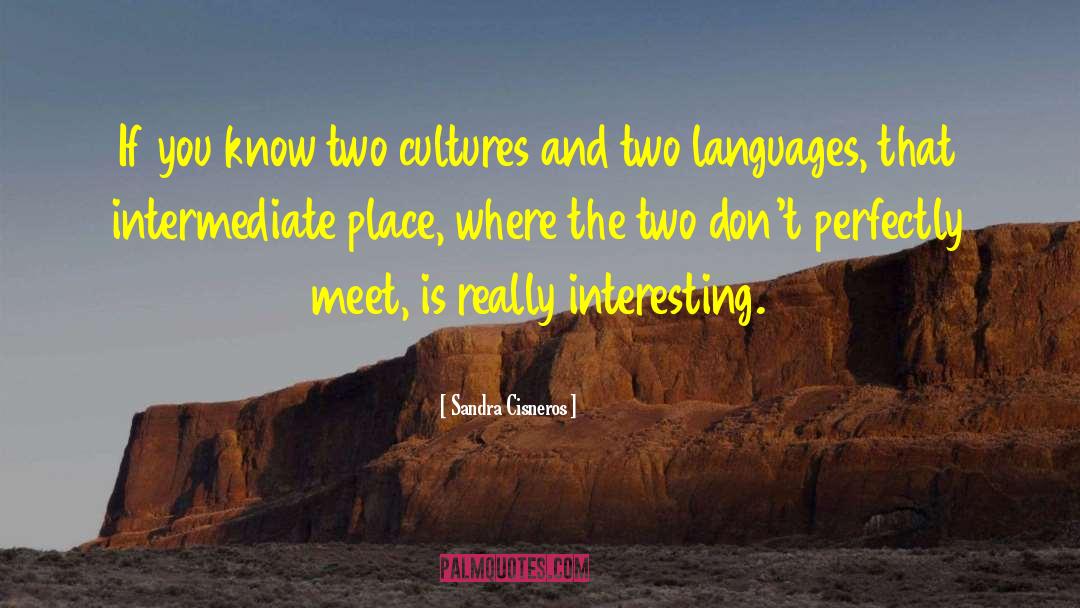 Two Cultures quotes by Sandra Cisneros