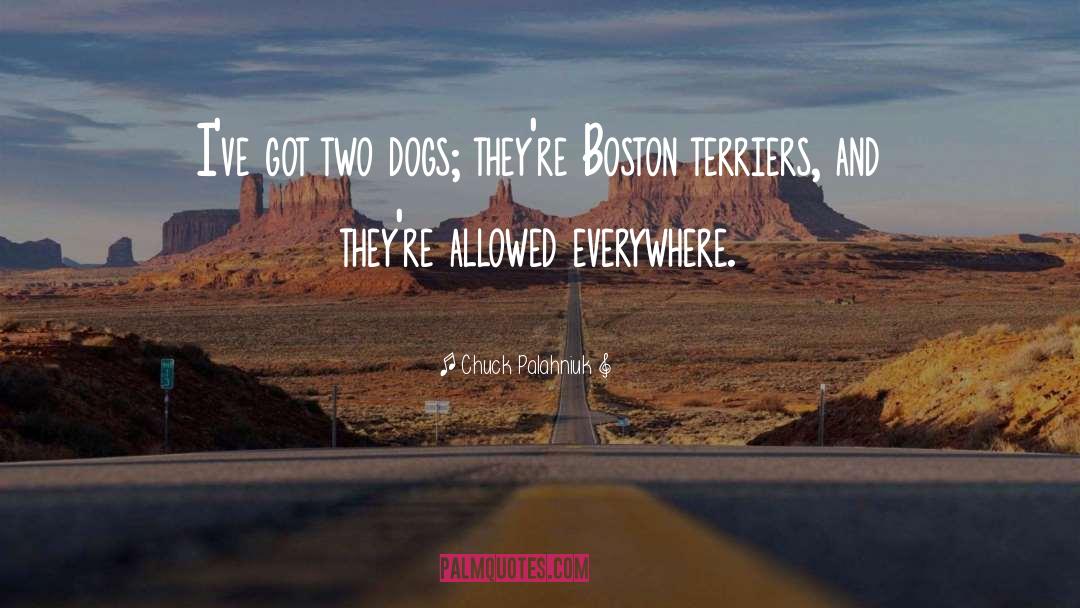 Two Dogs quotes by Chuck Palahniuk