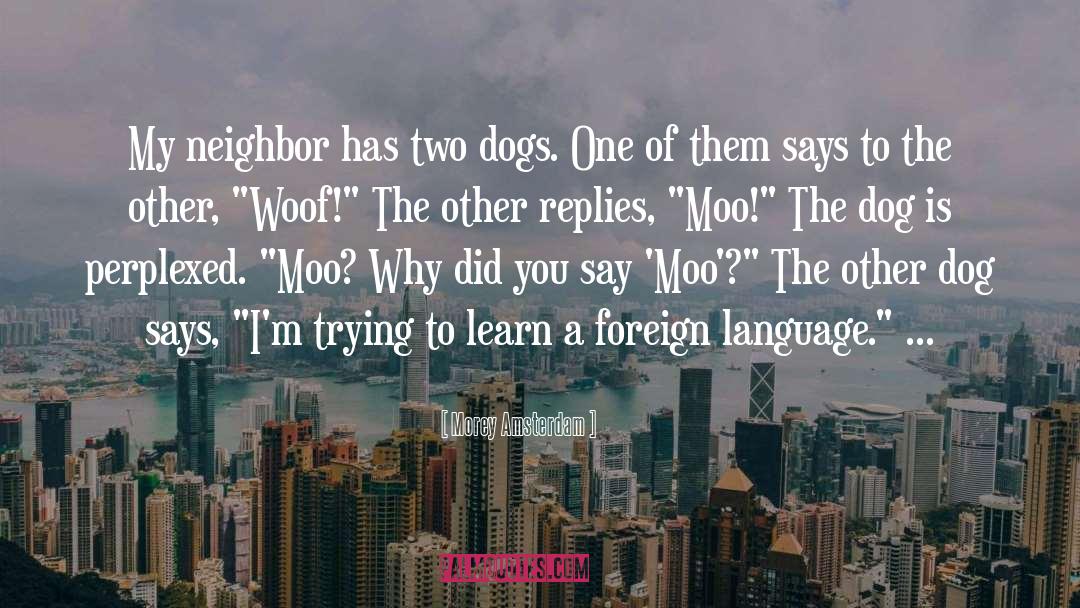 Two Dogs quotes by Morey Amsterdam