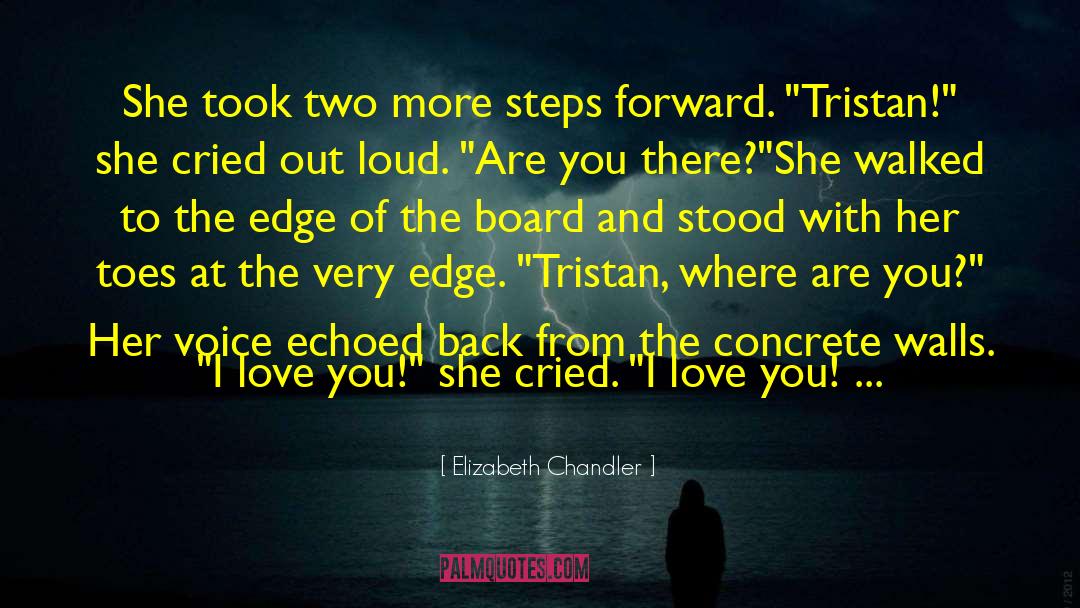 Two Edge Sword quotes by Elizabeth Chandler