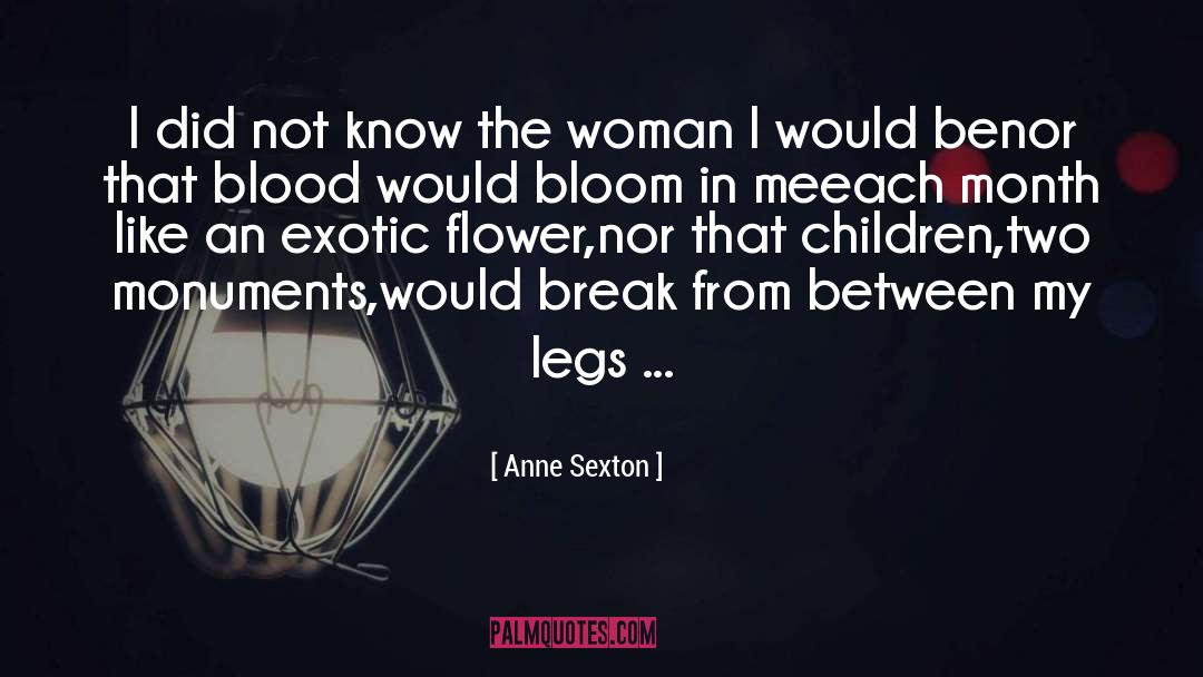 Two Legs Warriors quotes by Anne Sexton