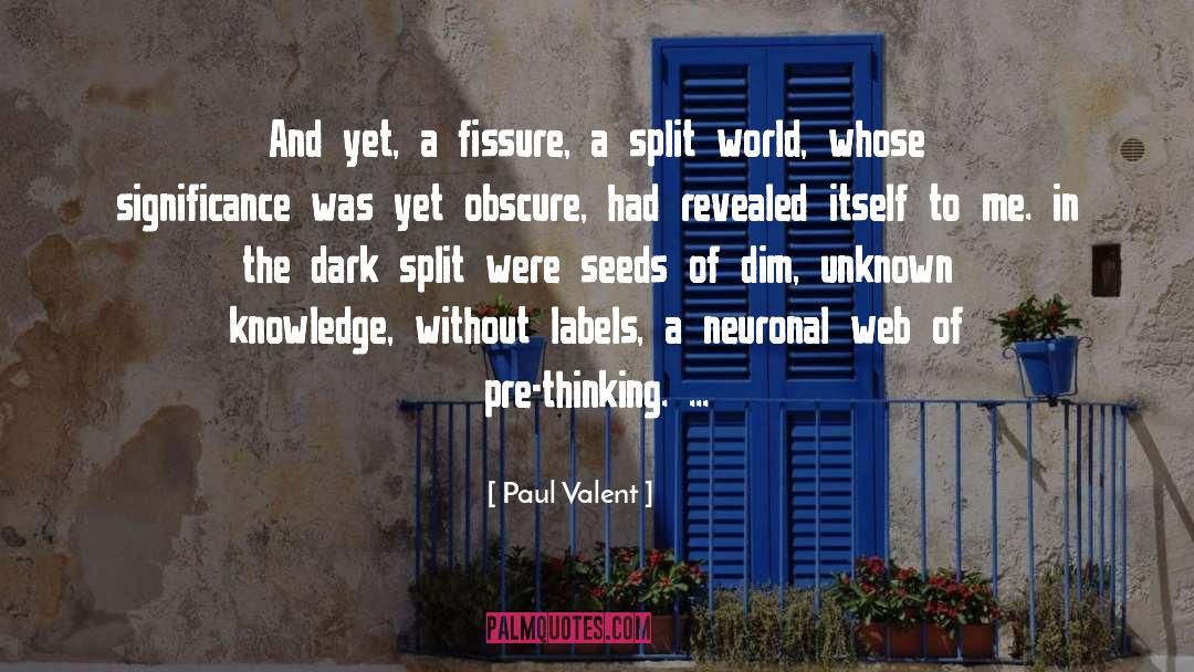 Two Minds quotes by Paul Valent