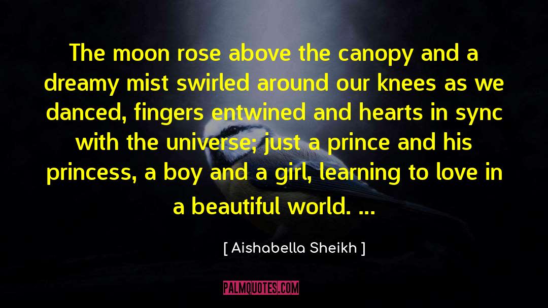 Two Moon Princess quotes by Aishabella Sheikh