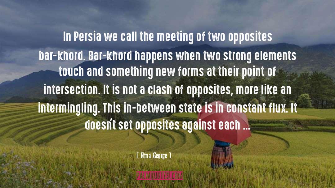 Two Opposites quotes by Nina George
