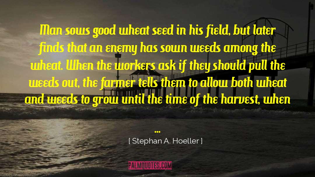 Two Personalities quotes by Stephan A. Hoeller