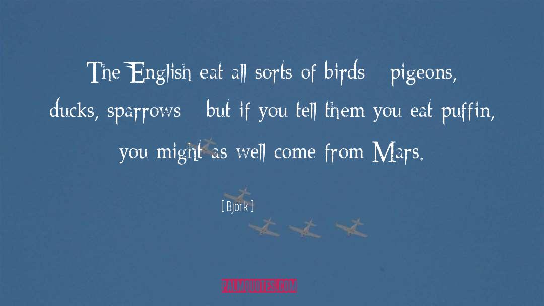Two Pigeons quotes by Bjork