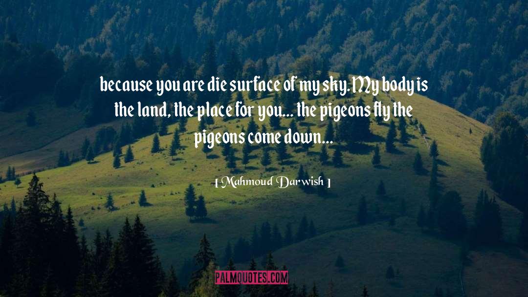 Two Pigeons quotes by Mahmoud Darwish