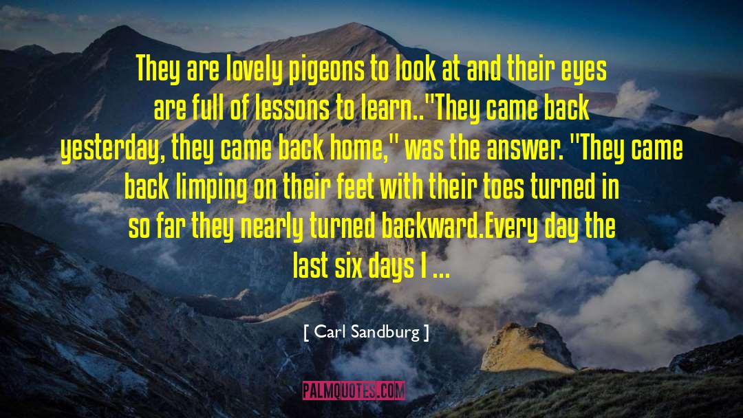 Two Pigeons quotes by Carl Sandburg