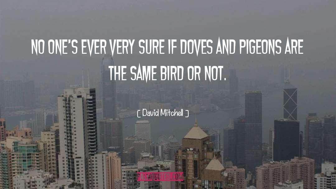 Two Pigeons quotes by David Mitchell