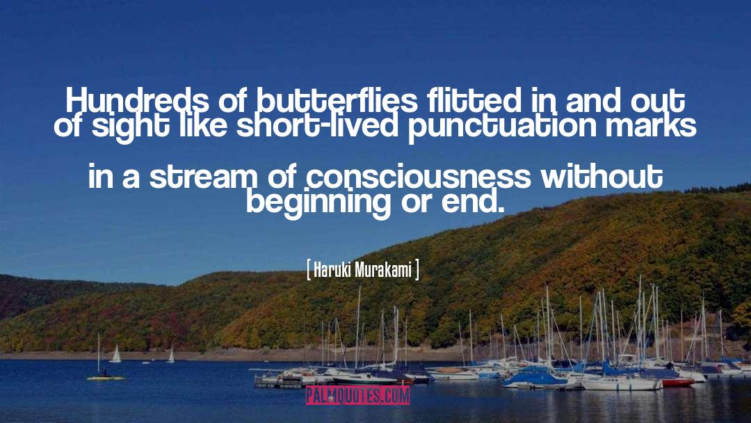 Two Punctuation Marks In quotes by Haruki Murakami