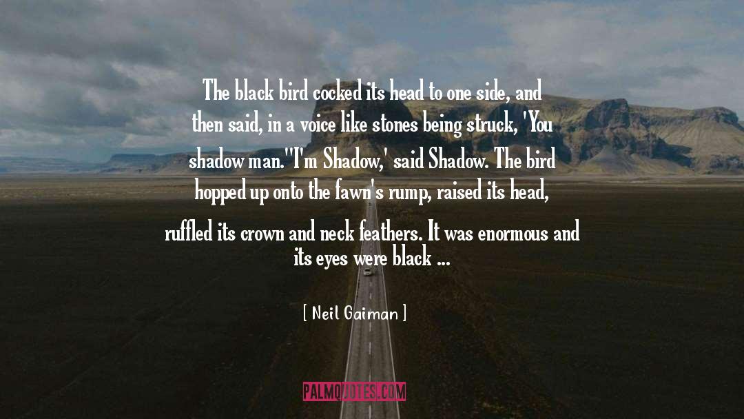 Two Ravens And One Crow quotes by Neil Gaiman