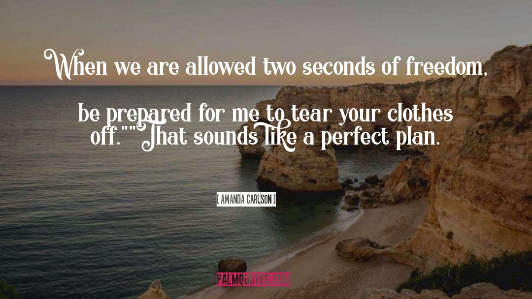 Two Seconds quotes by Amanda Carlson